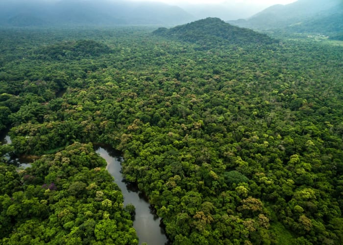 Randonnée et canoë dans la forêt pluviale
