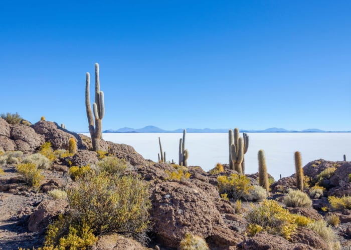 San Pedro de Quemez, grottes des galaxies, Salar d'Unyni, Tahua