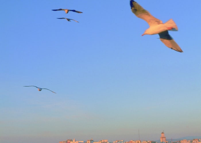 Essaouira