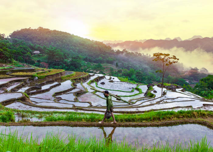 JOUR 03 : BA BE - BAN GIOC