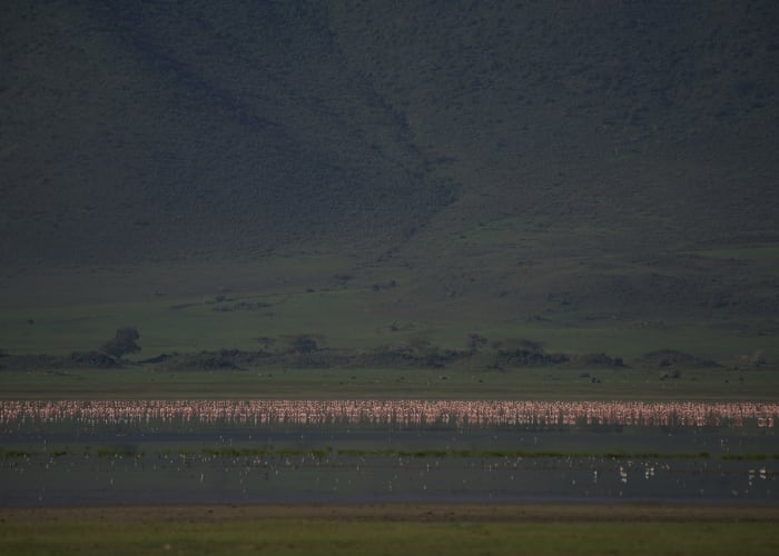 Lac Natron