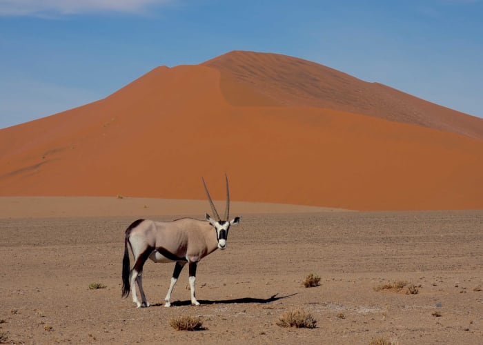 SWAKOPMUND - CAPE CROSS - TWYFELFONTEIN