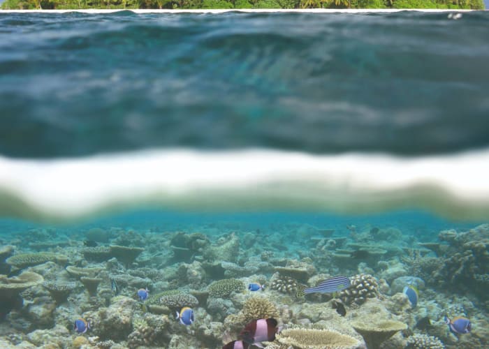 Medhufushi Island Resort