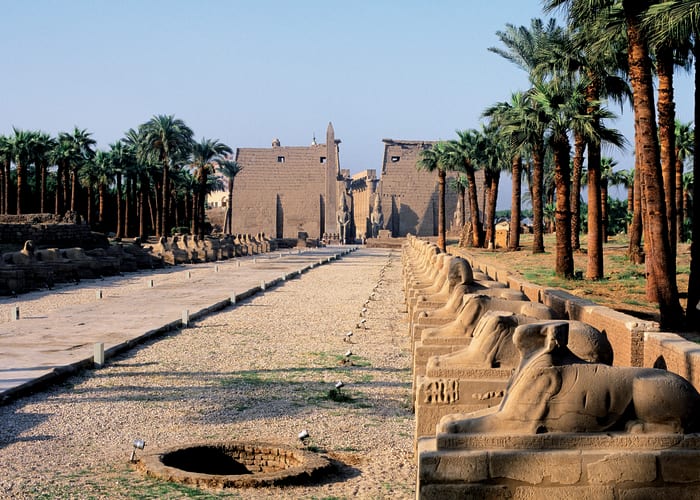 Le Caire - Louxor