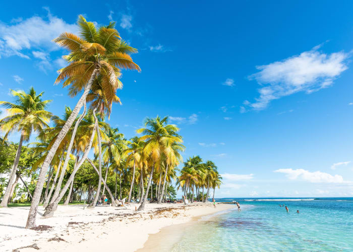 Arrivée dans les îles de Guadeloupe !