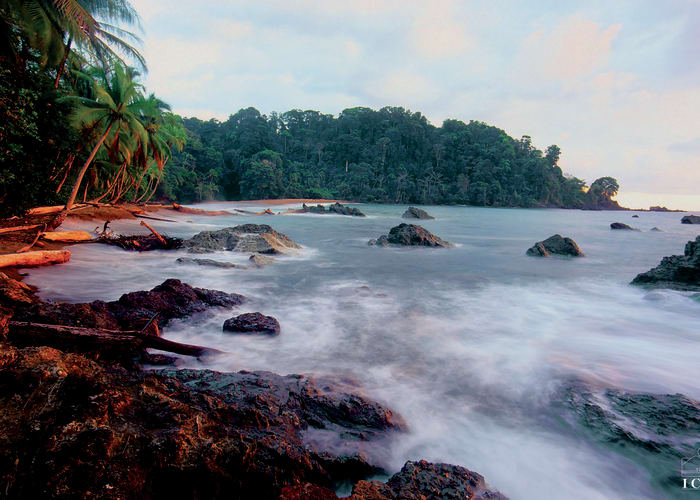 Corcovado, observation d animaux