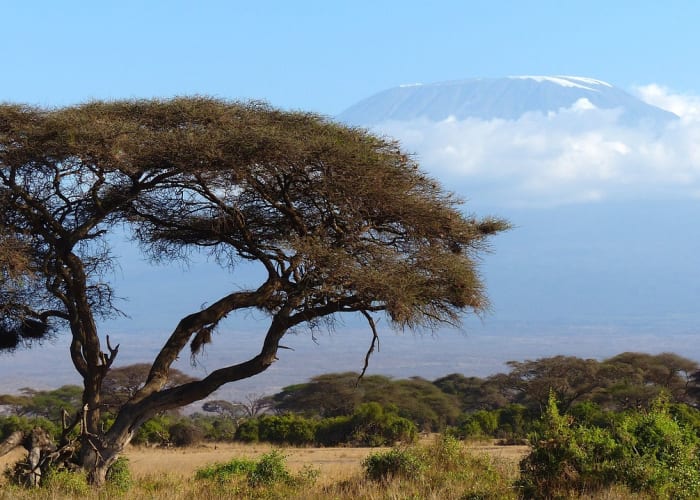 Arrivée en Tanzanie