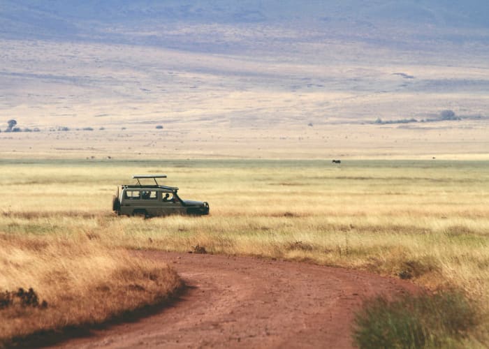 Du camp de Barafu au sommet, descente au camp de Mweka