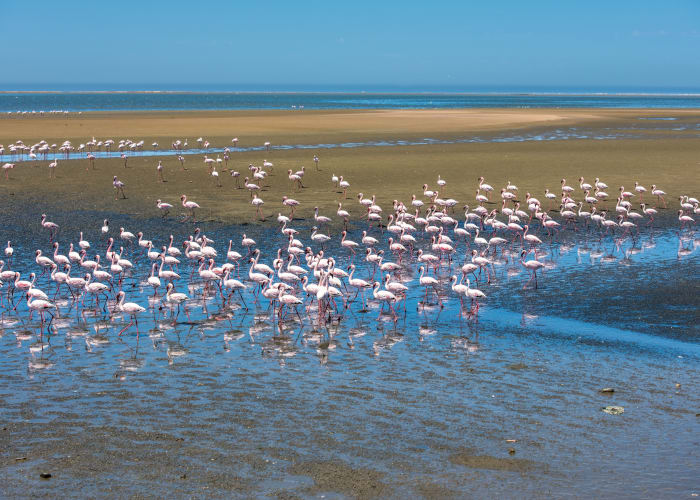 Swakopmund - Walvis Bay - Swakopmund