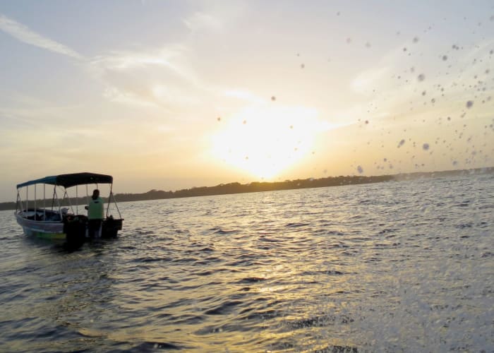 Bocas del Toro - Isla Bastimientos
