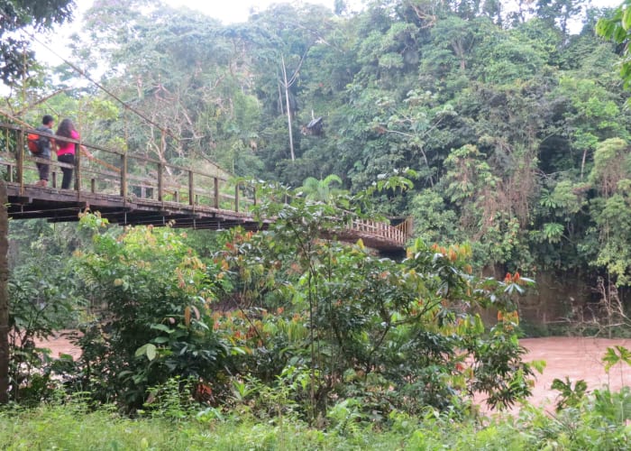 Au cœur de l'Amazonie - réserve Calanoa