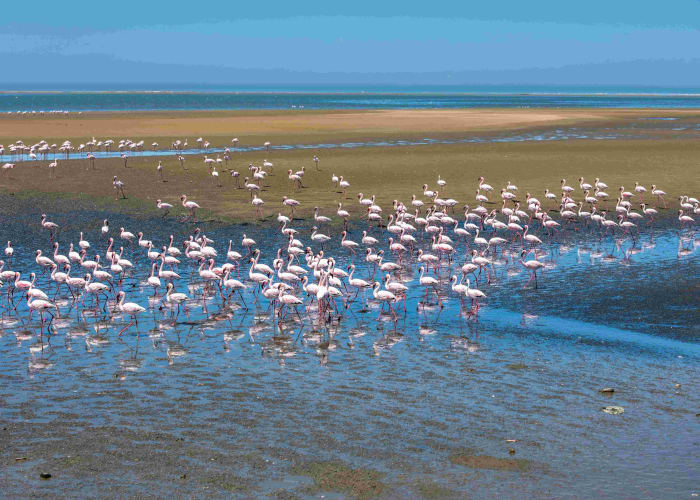 Swakopmund