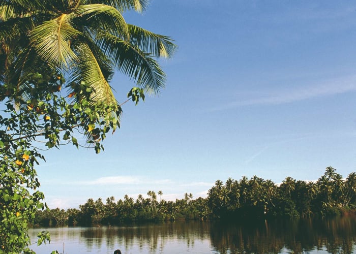 Le train mythique du thé et bateau sur la lagune de Negombo