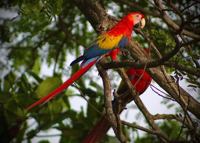 Retour à San Jose et départ du Costa Rica