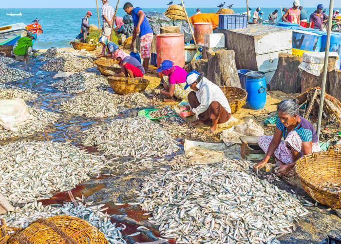 Negombo Galle Ahangama