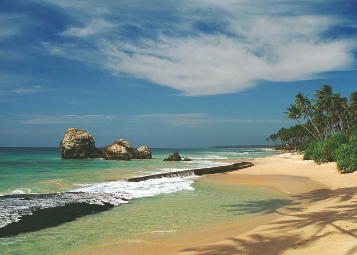 Au revoir le Sri Lanka