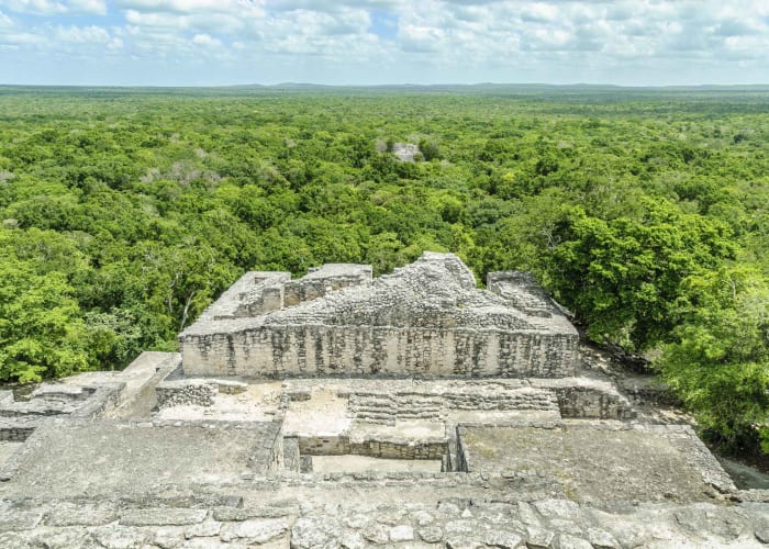 Immersion dans la Biosphère de Calakmul