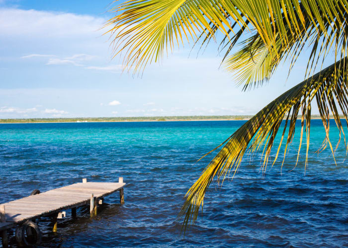 Catamaran sur la lagune
