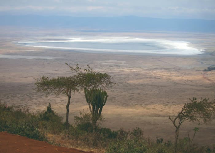 Jour 4 : Parc national du lac Manyara