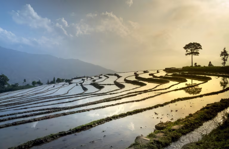 Découvrir la culture asiatique