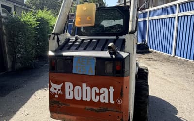 Bobcat