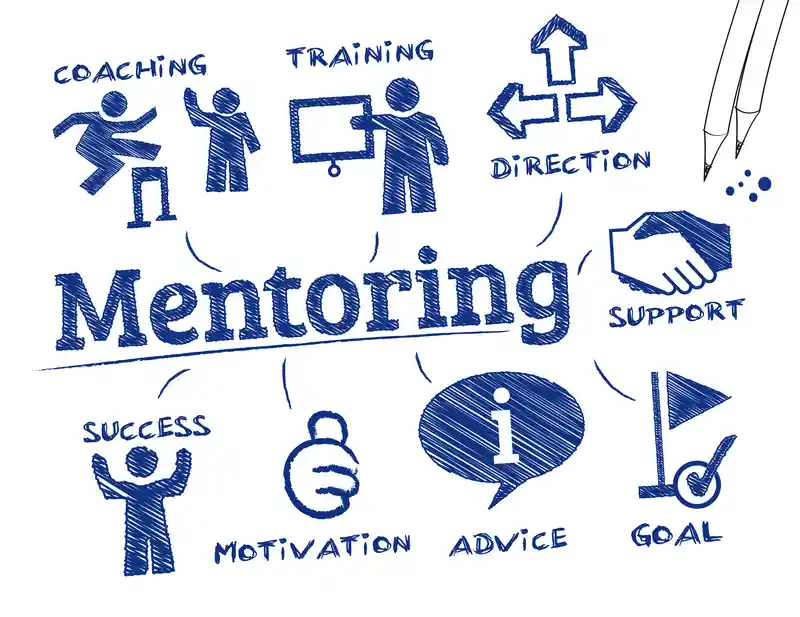 mentoring support offered by via wings dromore