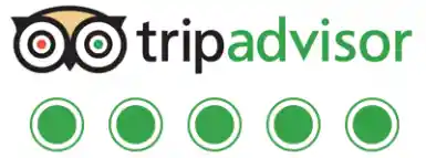 trip advisor 5 star reviews big e taxi tour