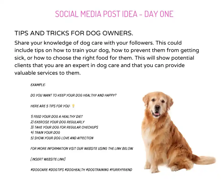 social media post idea generator