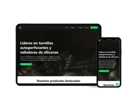 B2B Website for Tornillos Raptor