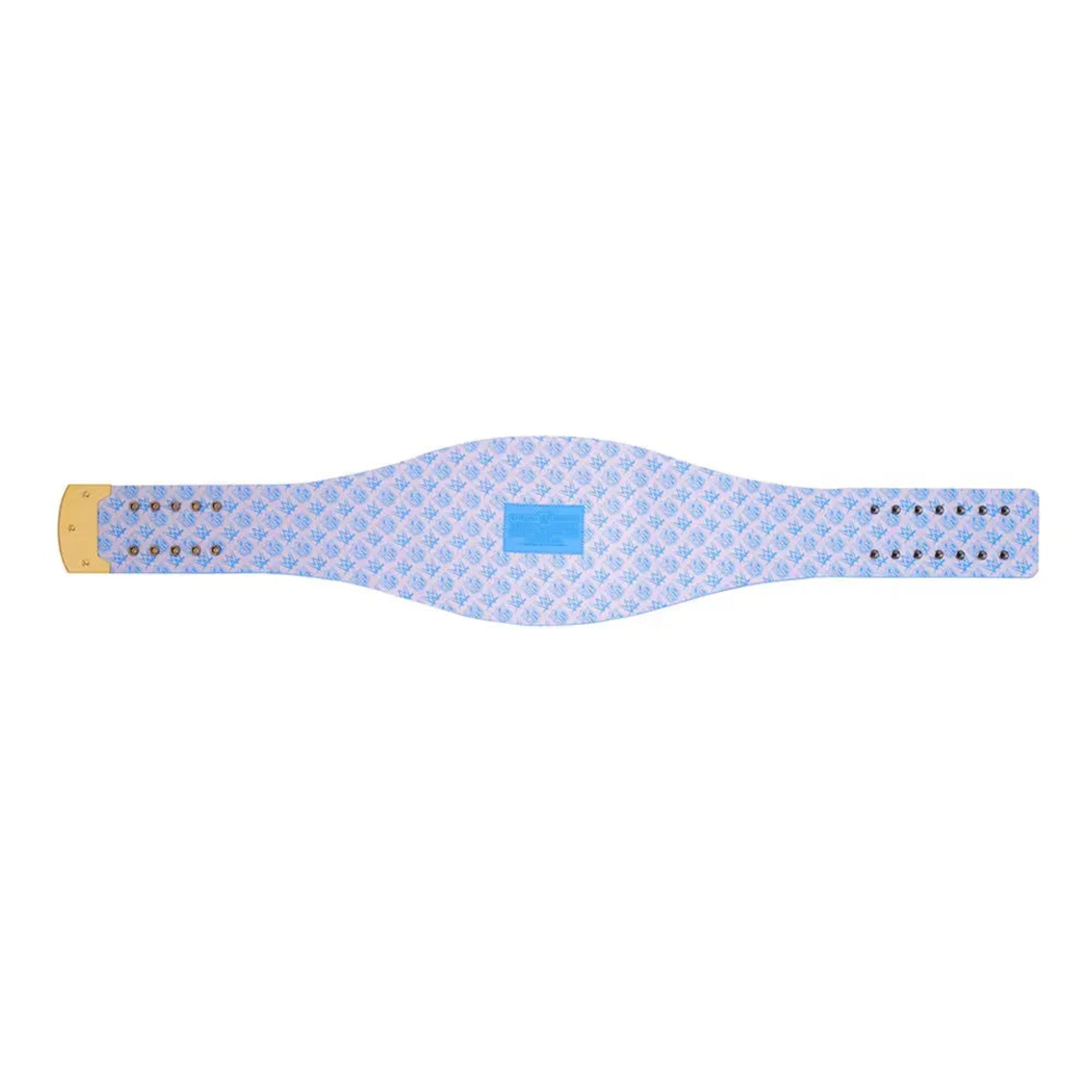 Detroit Lions WWE Legacy Title Belt – Image 2