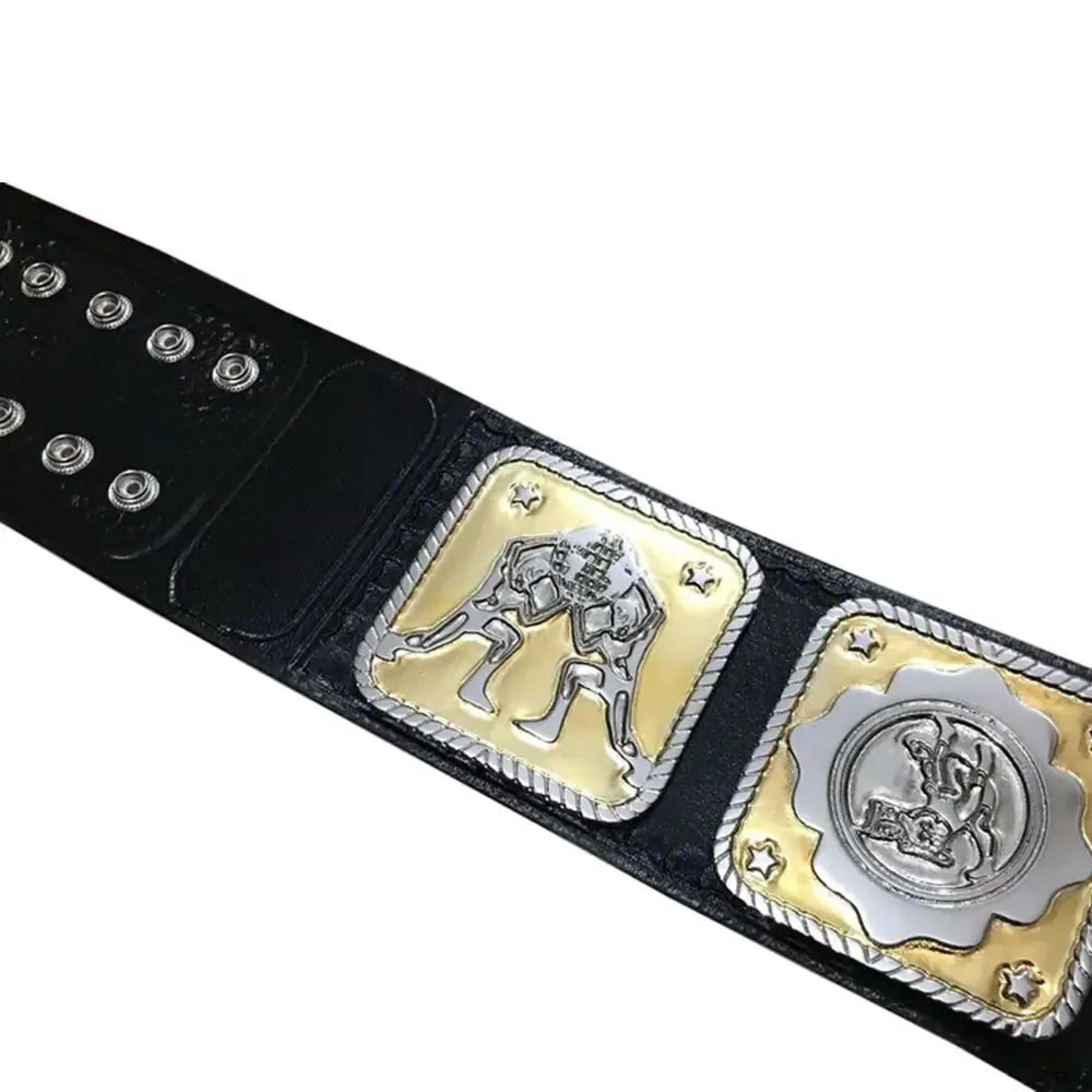 Nwa world tag team championship replica belt – Image 3