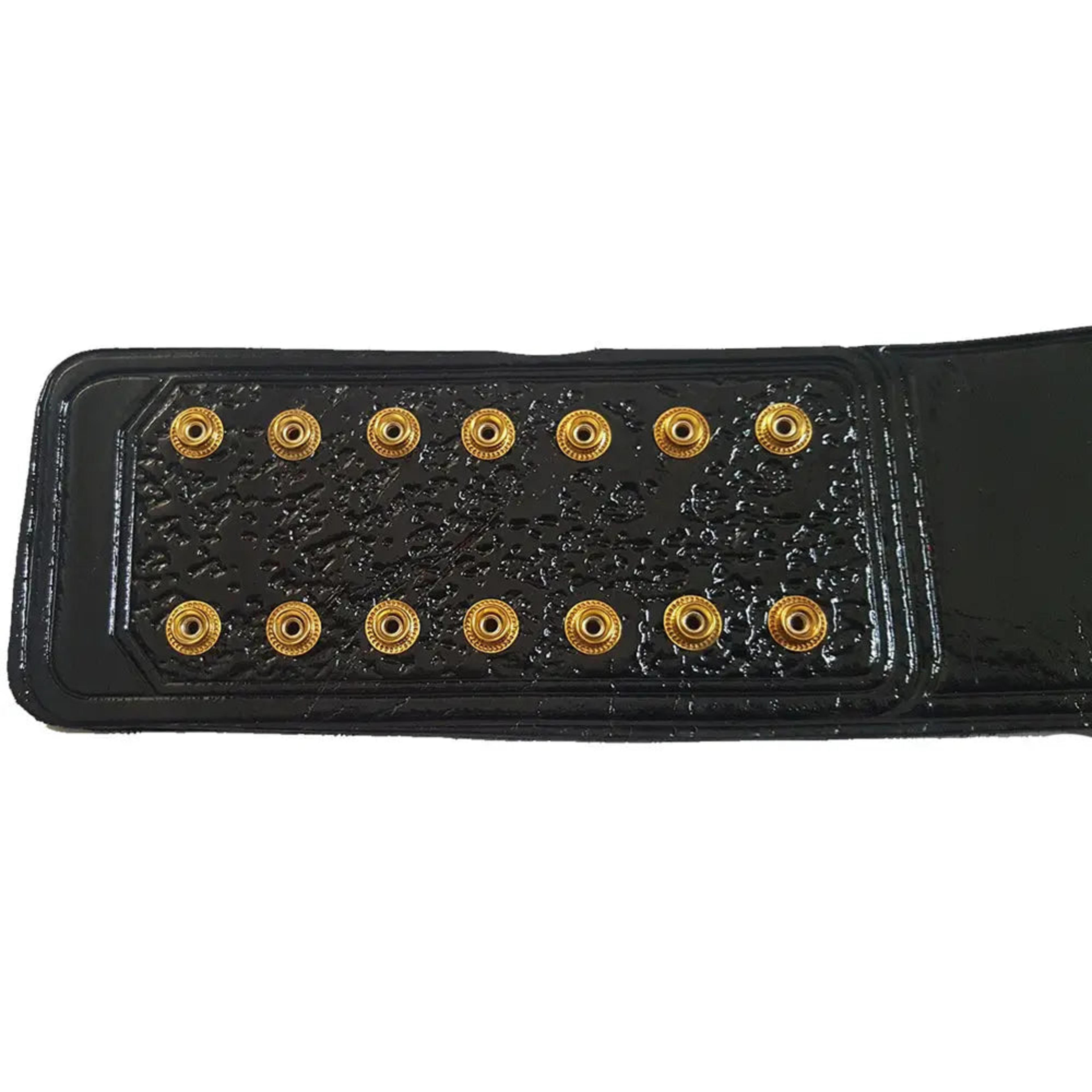 AWA World Tag Team Wrestling Championship Belt – Image 2