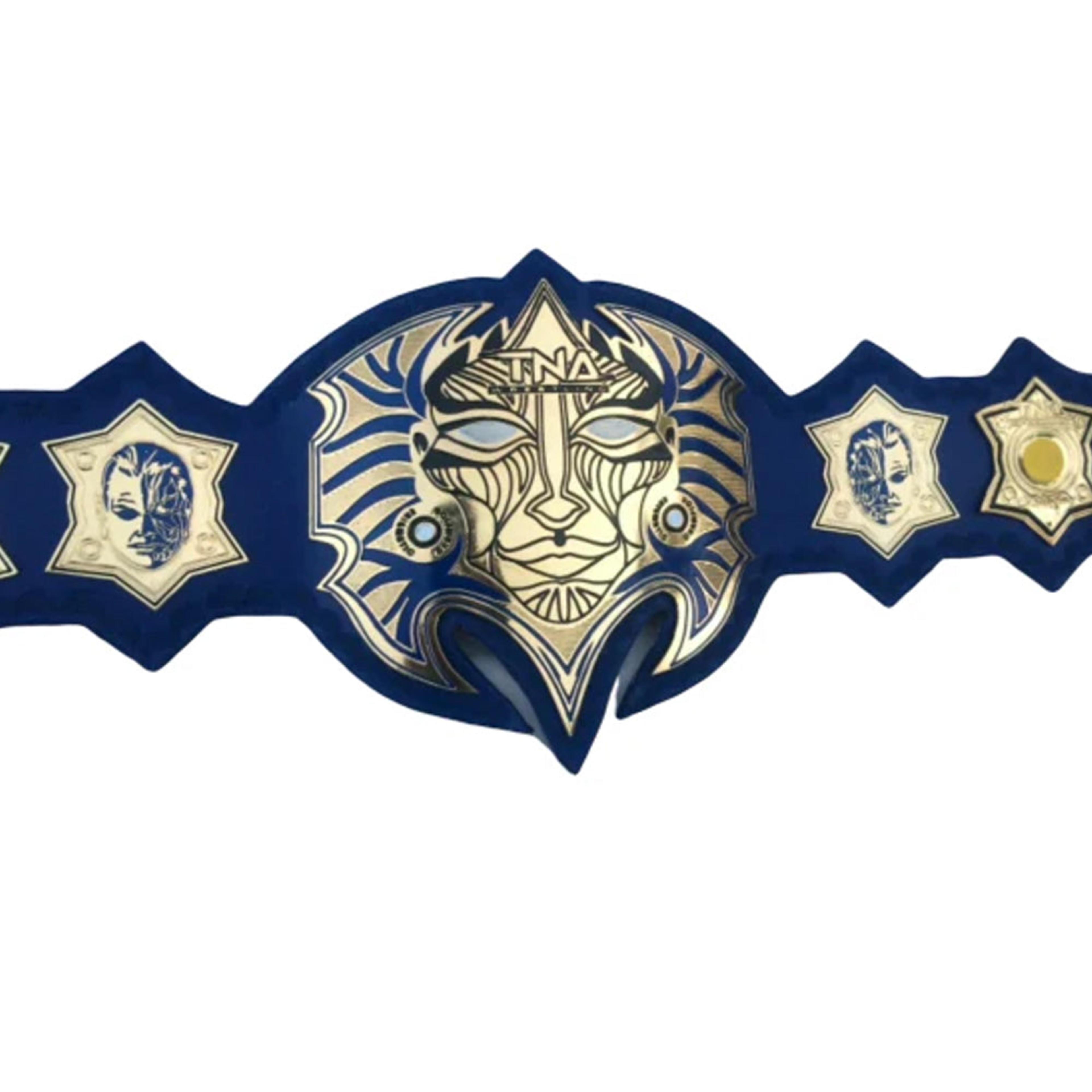 TNA Immortal Jeff Hardy Heavyweight Championship Title Belt – Image 1