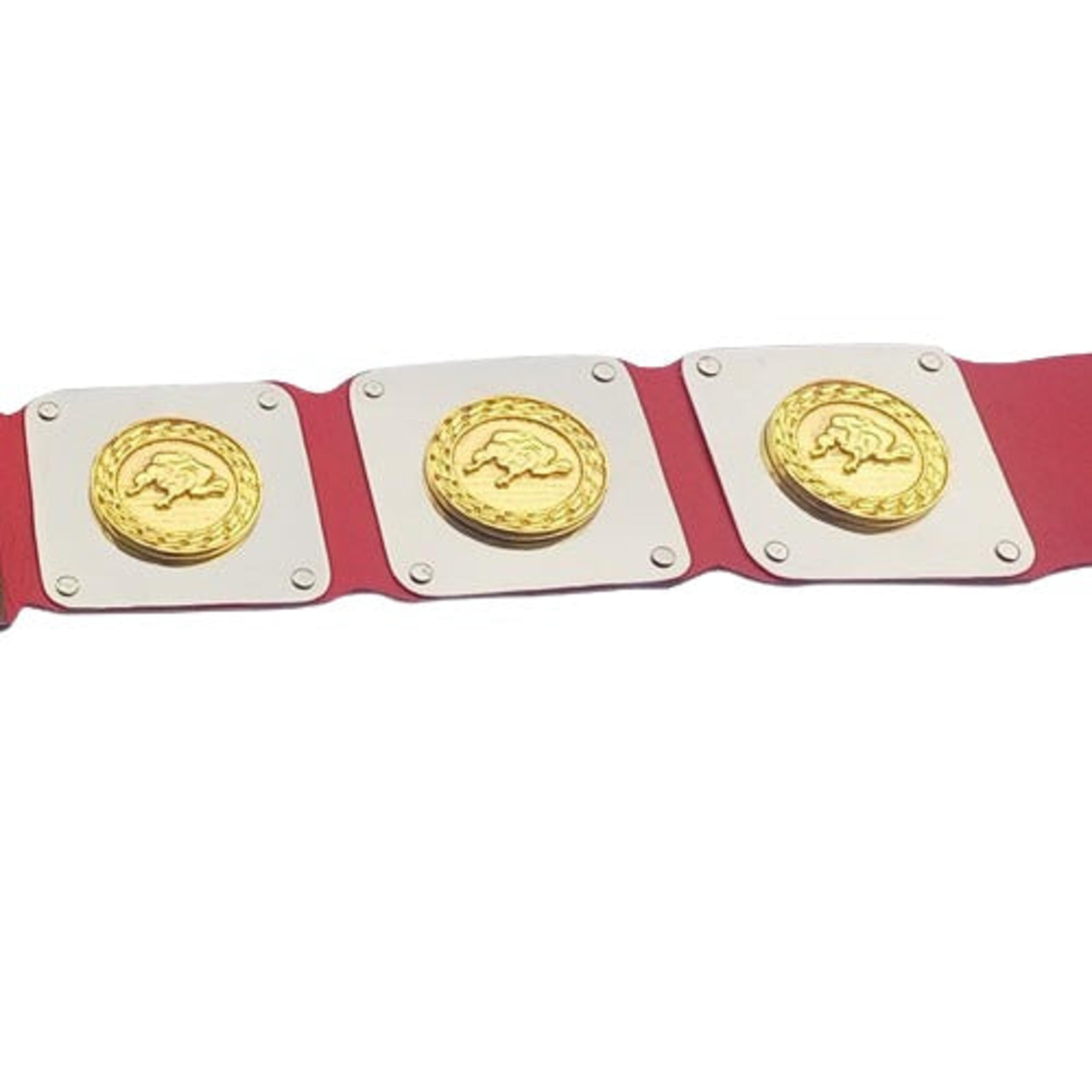 WWWF North American title Heavyweight Wrestling Champion Belt – Image 2