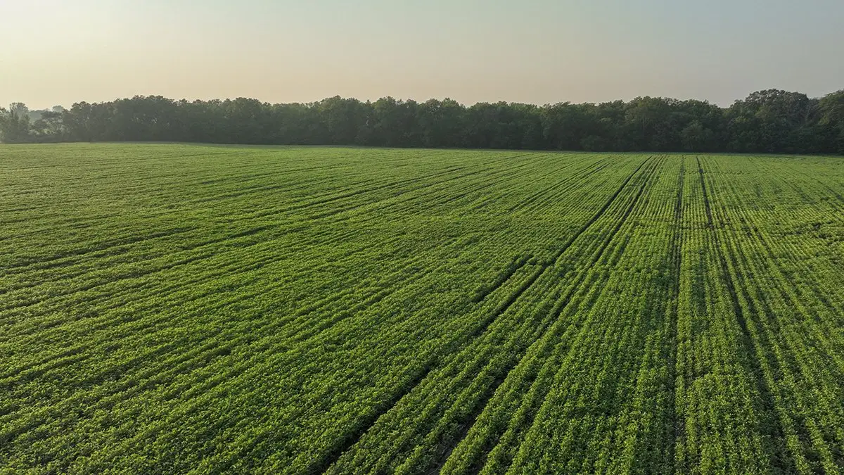 Farm Land