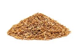 Cray Fish image