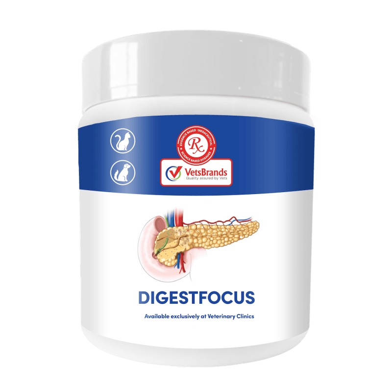 VetsBrands DigestFocus 250g