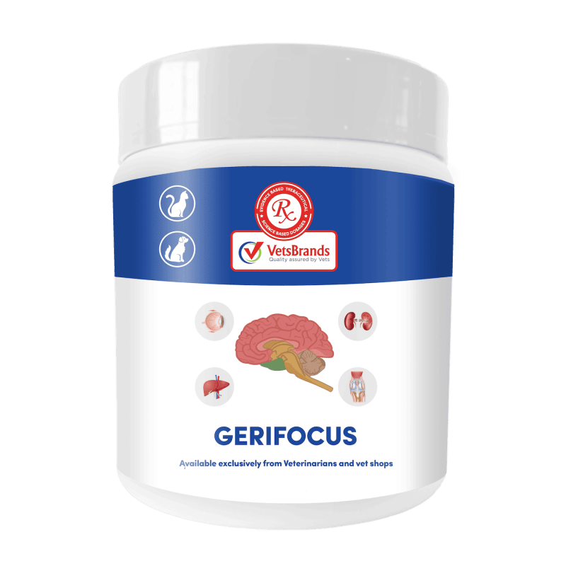 VetsBrands GeriFocus 250g