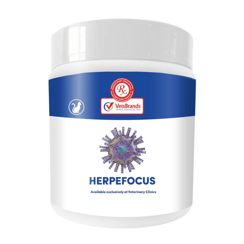 VetsBrands HerpeFocus 250g