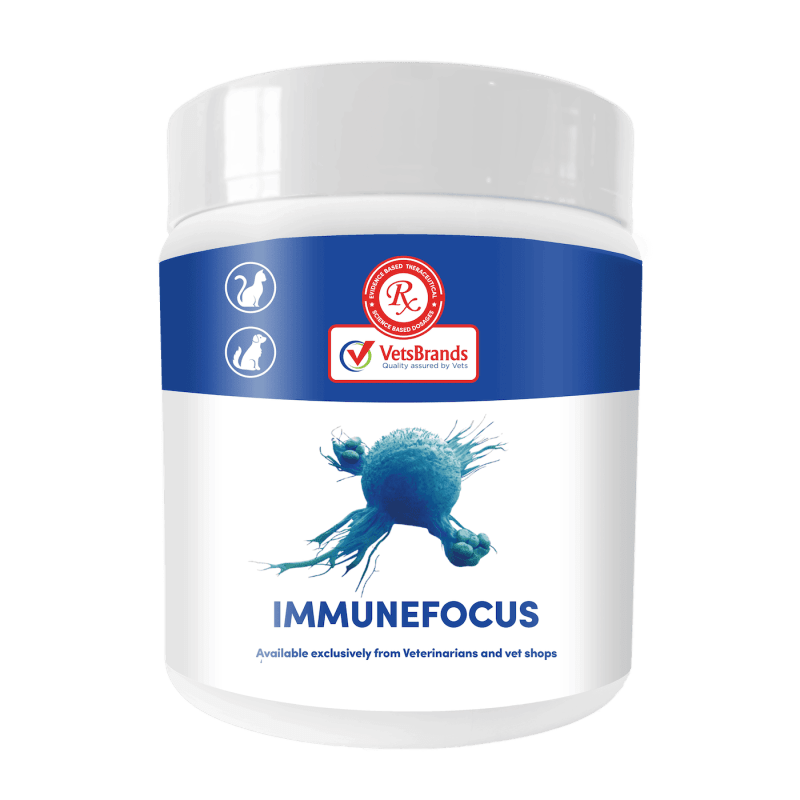 VetsBrands ImmuneFocus 250g