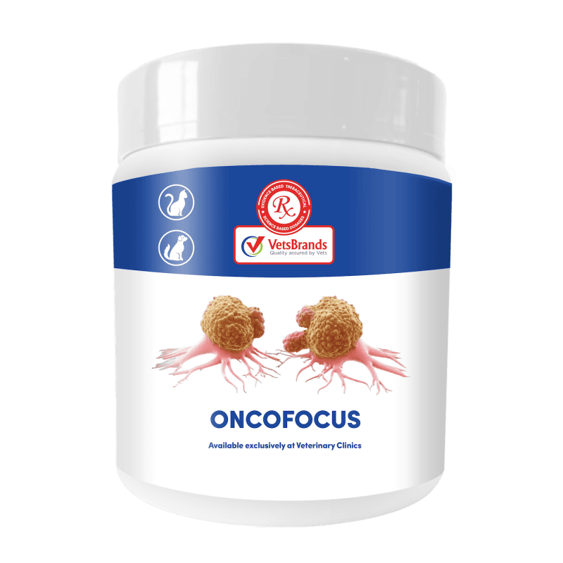 VetsBrands OncoFocus 250g