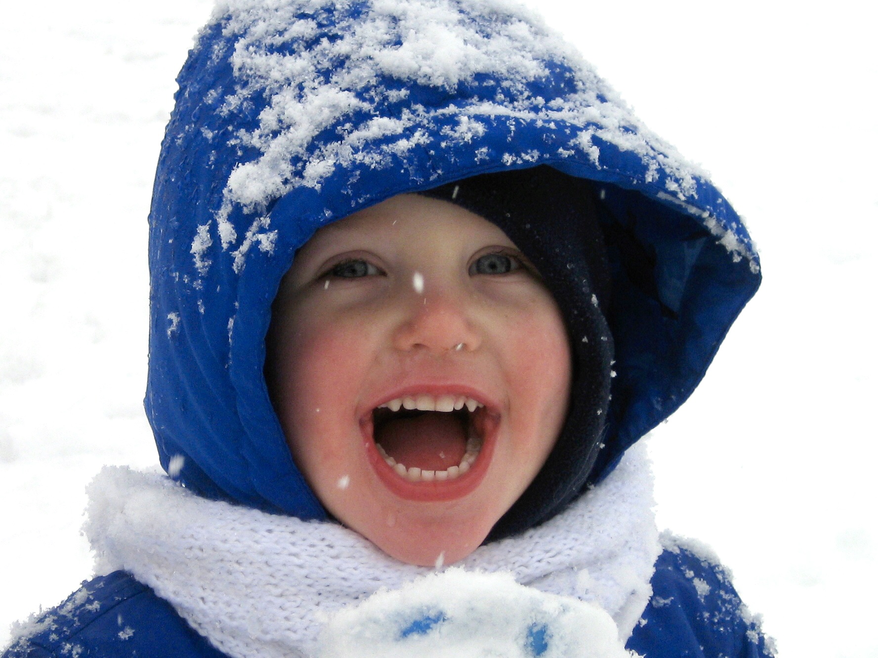 Picaña logo for admin sidebar