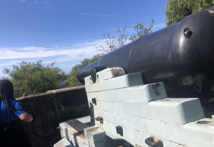 A black metal World War 2 cannon mounted on a concrete ledge at height. In the distance there are trees and the ocean.