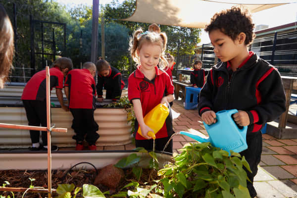 West Northam Primary School Pre-primary students watering their vegetable garden, as part of their science project. 