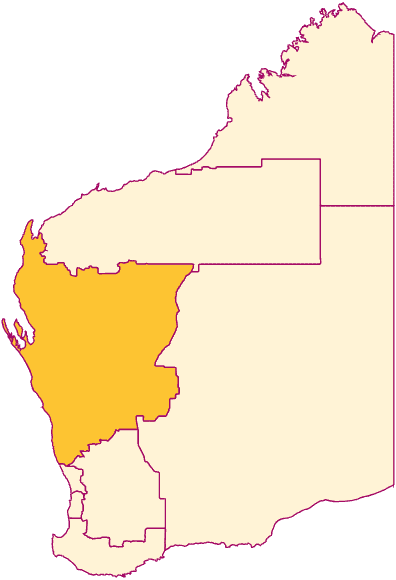 A simple map of Western Australia using pink outline to show the different geographical regions in the state. The Midwest region, stretching along the middle of the western coast to inland areas nearly in the centre of the state, is shaded in a darker gold colour than the rest of the map.