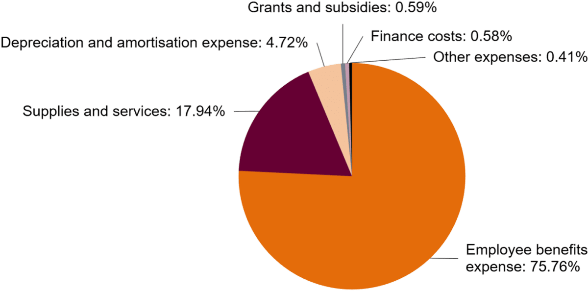 Costs presented as a pie chart. In 2019–20, Costs were as follows: 75.76% Employee benefits expense, 17.94% Supplies and services, 4.72% Depreciation and amortisation expense, 0.59% Grants and subsidies, 0.58% Finance costs, and 0.41% Other expenses.