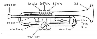 Diagram which shows the parts of a trumpet: mouthpiece, first valve, second valve, third valve, bell, leadpipe, valve casing, valve slides, water key, main tuning slide.