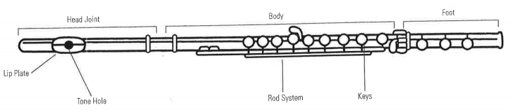 Diagram which shows the parts of a flute: head joint, body, foot, keys, rod system, tone hole, lip plate.