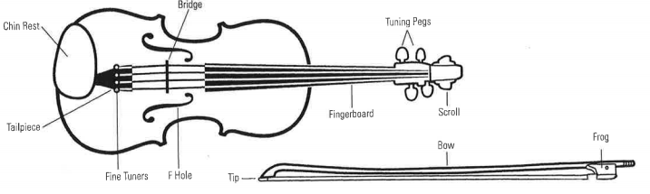 Diagram which shows the parts of a string instrument: chin rest, bridge, tuning pegs, scroll, fingerboard, F hole, fine tuners, tailpiece, bow tip and frog.