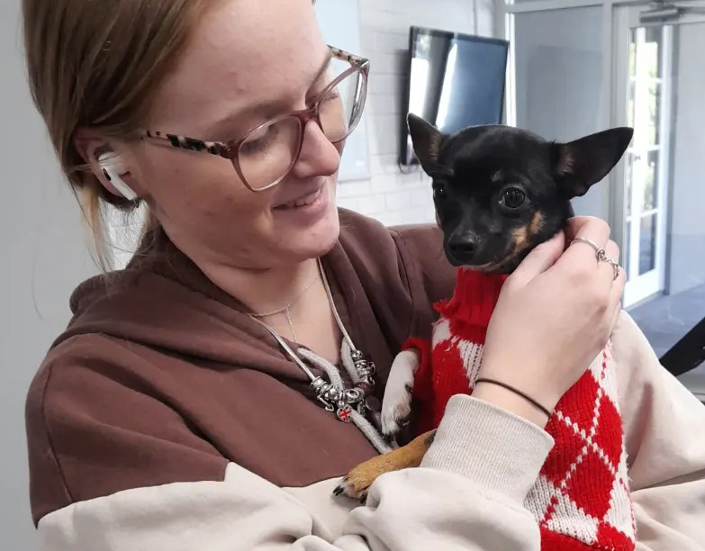 Northam Residential College boarder holding a visiting chihuahua wearing a jumper